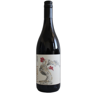 Steenhuis Shiraz 2019